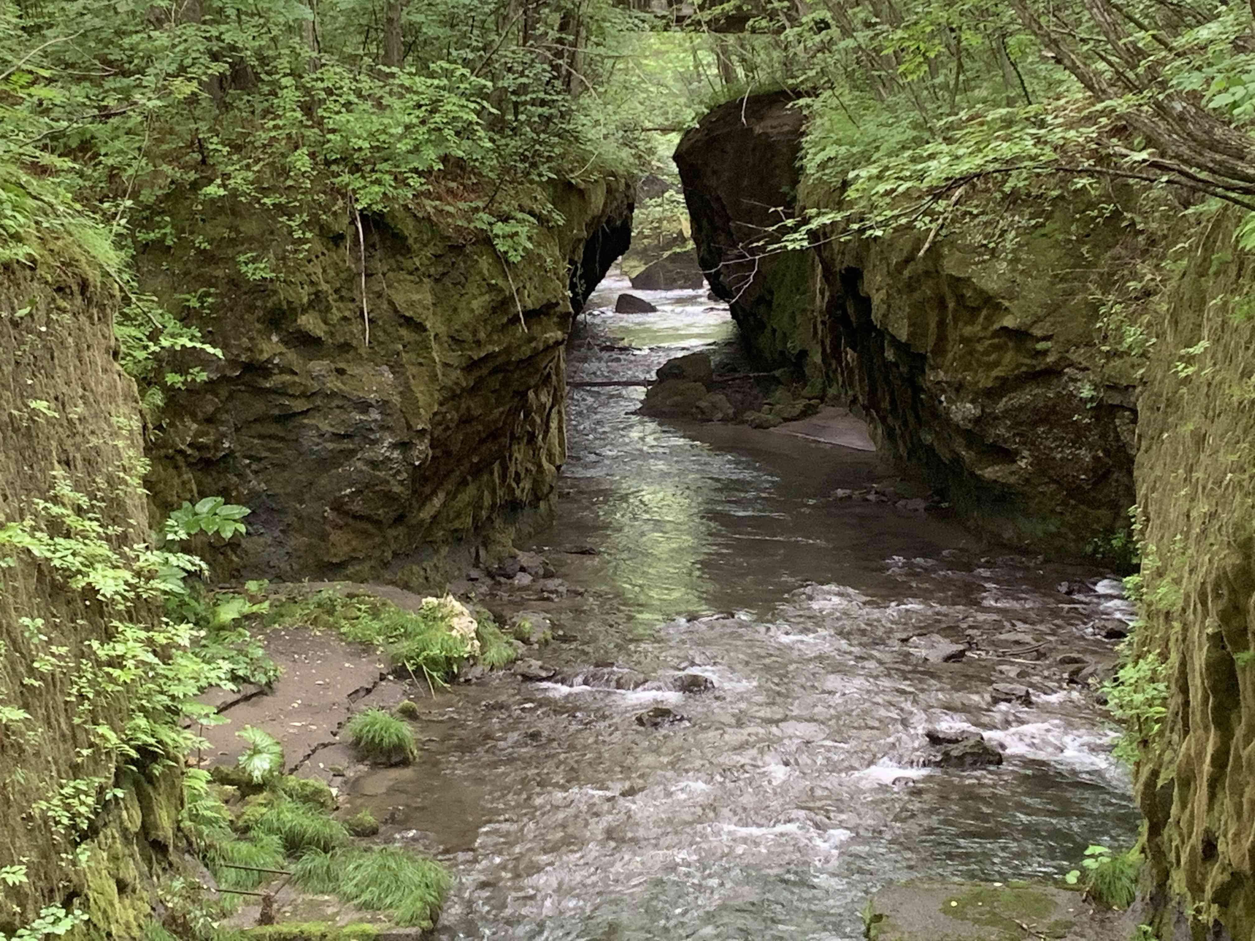 🏞️ 다루마에 협곡(타루마에 가로) 이미지 3